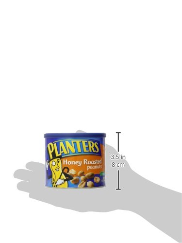 Planters Honey Roasted Peanuts 12 oz Grocery Planters   