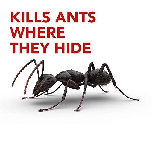 Raid Ant Killer Baits, For Household Use, Kills the Colony, Kills Ants for 3 Months, Child Resistant, 4 Count Drugstore Raid   