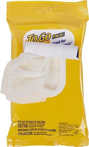 Clorox Disinfecting Wipes On The Go, Bleach Free Travel Wipes, 9 Ct, Pack of 24 (Package may vary) (Package May Vary) Drugstore Clorox Disinfecting Wipes   