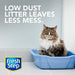 Fresh Step Multi-Cat Litter, Scented with Febreze, 25 Lb Pet Products Fresh Step   