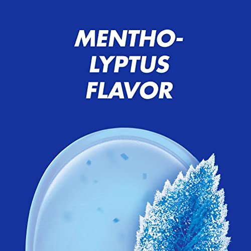 HALLS Relief Mentho-Lyptus Cough Drops, 20 Packs of 9 Drops (180 Total Drops) Grocery Halls   