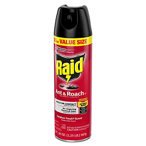 Raid Ant & Roach Killer Spray for Listed Bugs, Insect, Spider, For Indoor Use, Fresh Scent, 17.5 Oz, Pack of 1 Lawn & Patio Raid   