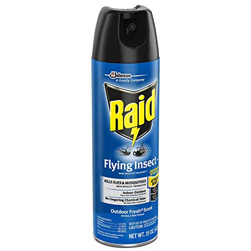 Raid Flying Insect Killer, 15 OZ (Pack - 3) Lawn & Patio Raid   