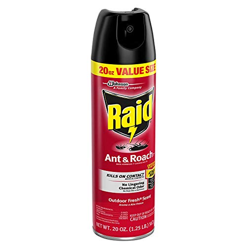 Raid Ant & Roach Killer Spray for Listed Bugs, Insect, Spider, For Indoor Use, Fresh Scent, 17.5 Oz, Pack of 1 Lawn & Patio Raid   