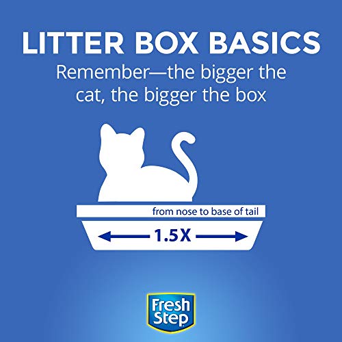 Fresh Step Non-Clumping Premium Scented Cat Litter with Febreze Freshness, 14 lbs. Grocery Fresh Step   