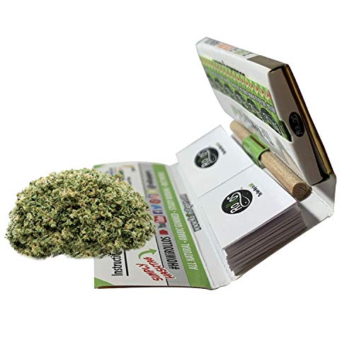 Rollos Rolling Papers and Tips Combo 1 1/4 Size - Gold Edition - 32 Pack Display Box Drugstore Rollos   