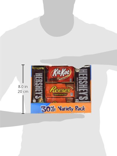 Hershey's Chocolate Variety Pack, 2.81-Pound Grocery HERSHEY'S   