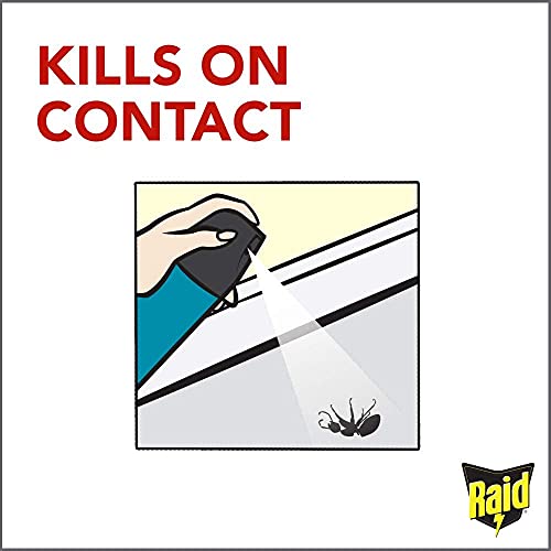 Raid Flying Insect Killer, 15 OZ (Pack - 3) Lawn & Patio Raid   