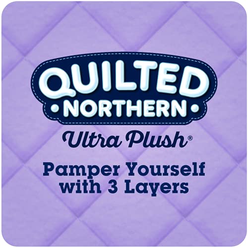 Quilted Northern 12-Pack 2-ply Toilet Paper in the Toilet Paper department  at