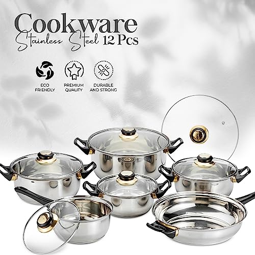 Alpine Cuisine Stainless Steel Cookware Set 12-Pcs with Glass Lid & Comfortable Handle, Included Dutch oven, Sauce Pan, Fry Pan, Cookware Set for Home Kitchen Healthy Cooking, Easy To Use & Clean Kitchen Alpine Cuisine   