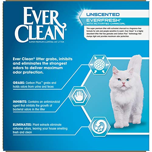 Ever Clean Ever Fresh Litter with Activated Charcoal Clumping Cat Litter, Unscented, 25 Pounds Pet Products Ever Clean   