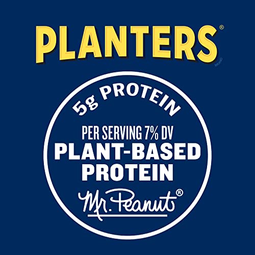 Planters Cashews Whole Salted, 8.5 oz Grocery Planters   