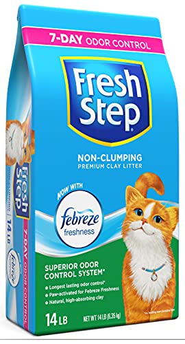 Fresh Step Non-Clumping Premium Cat Litter with Febreze Freshness, Scented, Multi, 224 Ounce (Package May Vary) Pet Products Fresh Step   