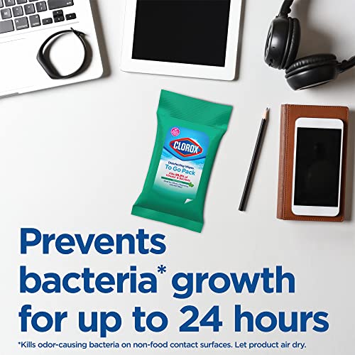 Clorox Disinfecting Wipes On The Go, Bleach Free Travel Wipes, 9 Ct, Pack of 24 (Package may vary) (Package May Vary) Drugstore Clorox Disinfecting Wipes   