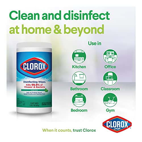 Clorox Disinfecting Wipes, Bleach Free Cleaning Wipes, Fresh, 75 Count (Package May Vary) Drugstore Clorox Disinfecting Wipes   