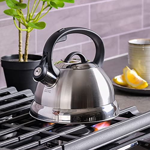 Mr. Coffee Flintshire Stainless Steel Whistling Tea Kettle, 1.75-Quart, Brushed Satin Kitchen Mr. Coffee   