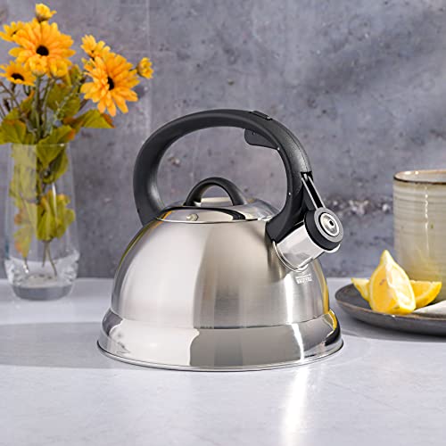 Mr. Coffee Flintshire Stainless Steel Whistling Tea Kettle, 1.75-Quart, Brushed Satin Kitchen Mr. Coffee   