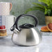 Mr Coffee Harpwell Stainless Steel Whistling Tea Kettle, 1.8-Quart, Brushed Stainless Steel Kitchen Mr. Coffee   