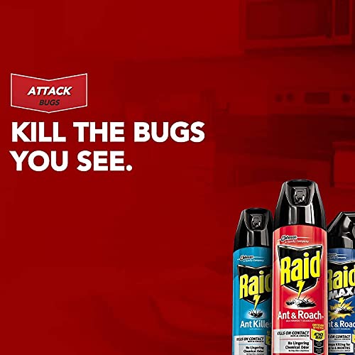 Raid Ant and Roach Killer Outdoor Fresh, 17.5 OZ Pesticides Raid   