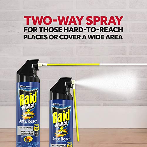 Raid Max Ant and Roach Spray 14.5oz. Roach Spray Raid   