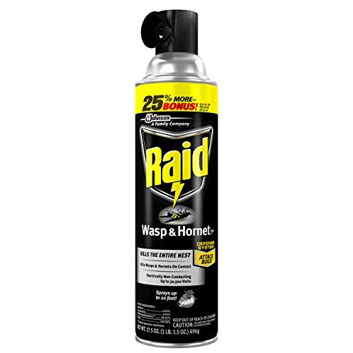 Raid Wasp and Hornet Killer (17.5 Ounce (Pack of 1)) Drugstore Raid   