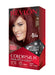 Revlon Colorsilk Beautiful Color, Permanent Hair Dye with Keratin, 100% Gray Coverage, Ammonia Free, 49 Auburn Brown Hair Color REVLON   